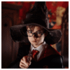 Harry-Potter / Sorcier