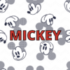 Mickey Mickey