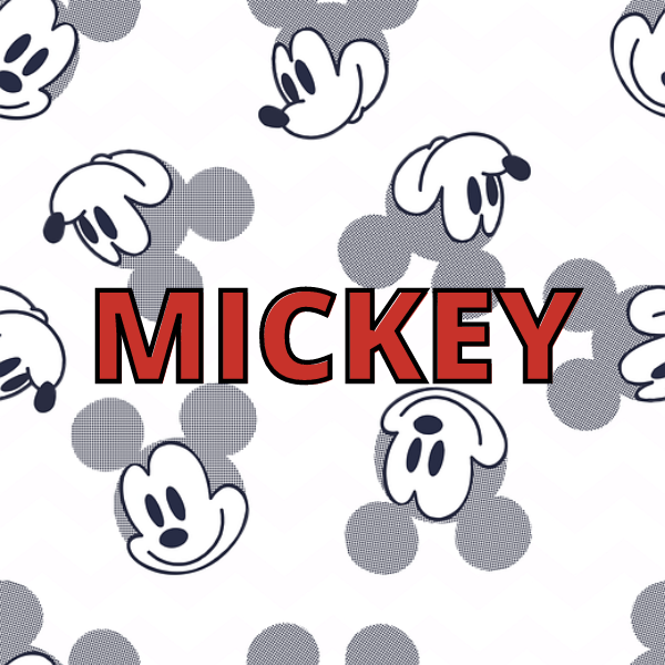 Mickey Mickey