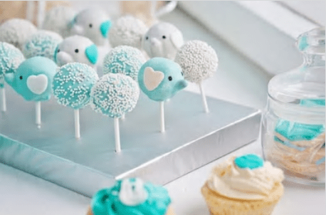 Baby-Shower/ Gender Reveal